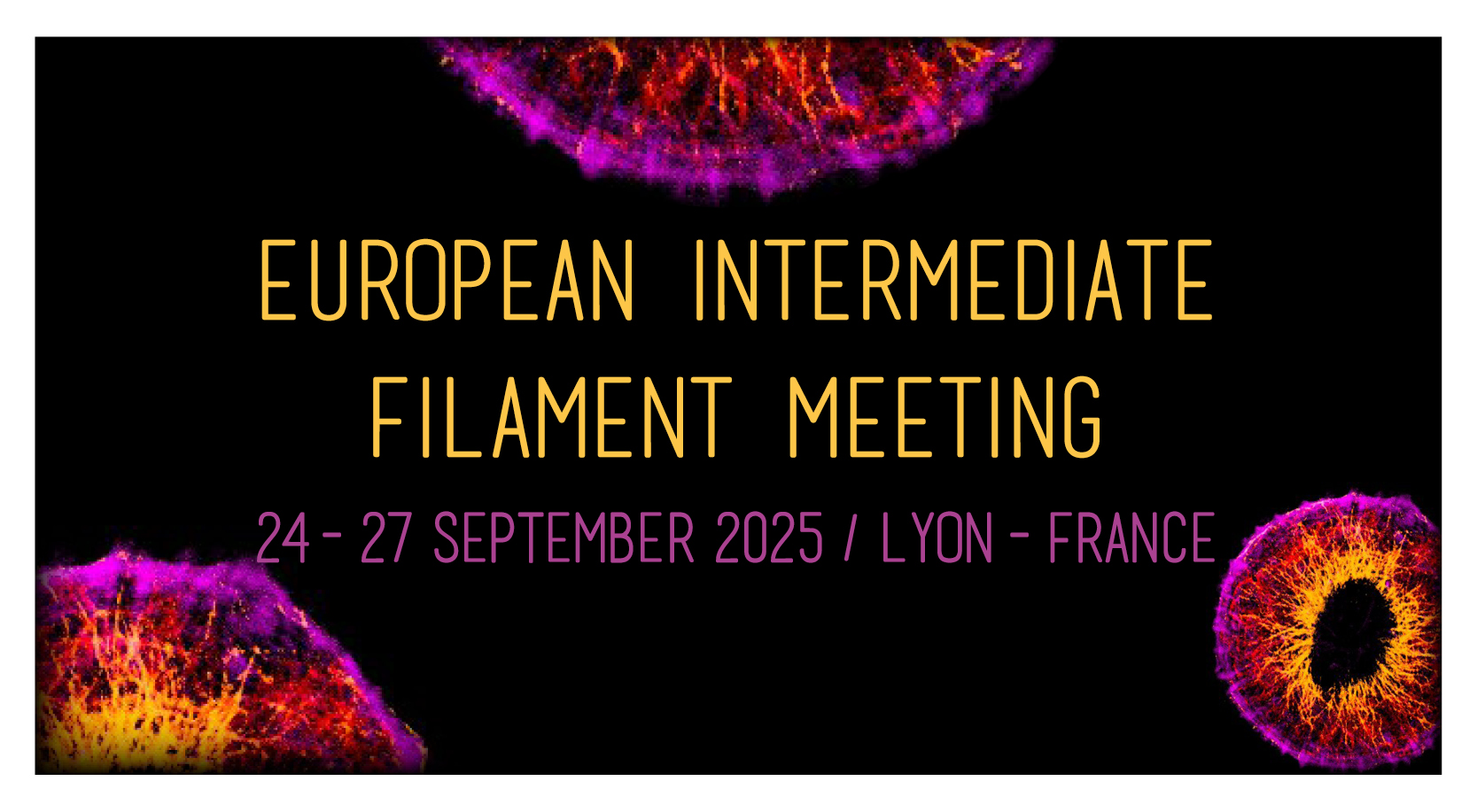 European Intermediate Filament Meeting