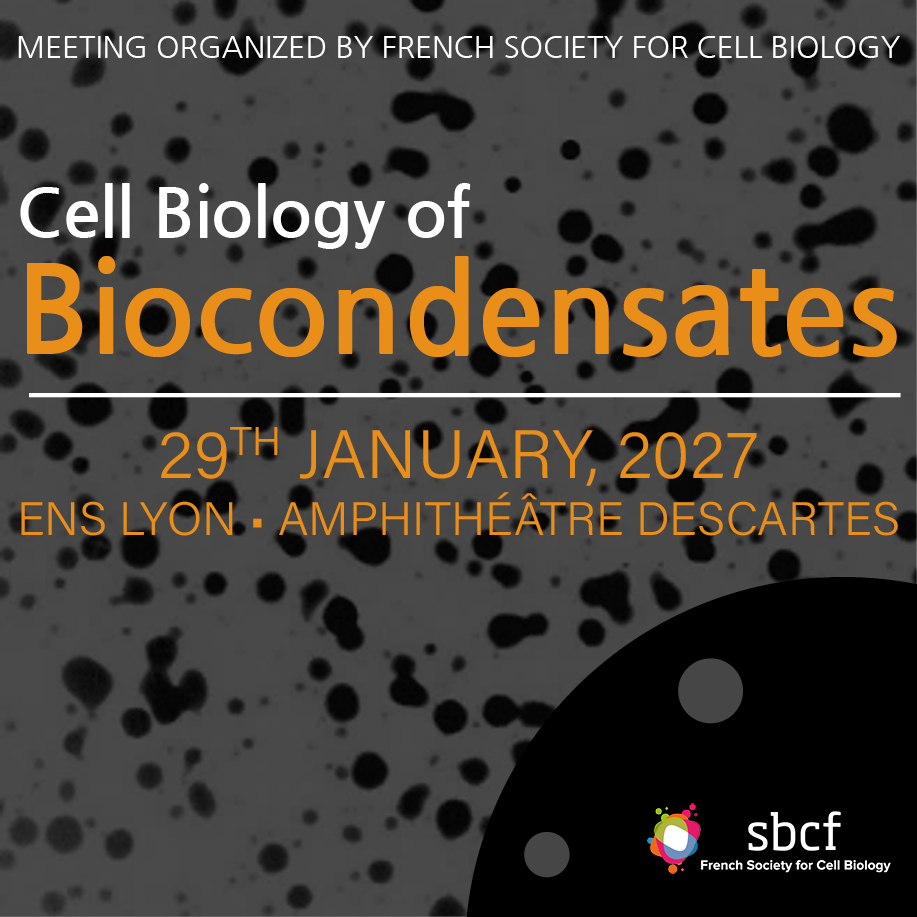 Cell Biology of Biocondensates